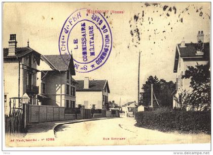 Carte Postale Ancienne de MIRECOURT