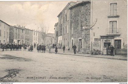 Montagnac - Avenue Montpellier