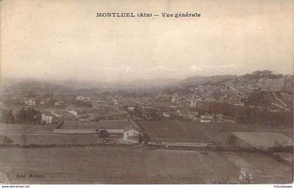 01 AIN Vue générale de MONTLUEL