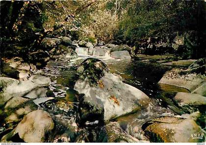 86 - Montmorillon - Le saut de la Brame aux environs de Montmorillon - Carte Neuve - CPM - Voir Scans Recto-Verso