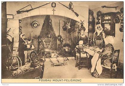 depts divers - herault  - ref T465 - montpellier - fougau mount  pelieirenc - musee d anatomie et pharmacie -