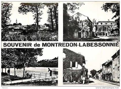 tarn -ref gd format -ref G552-montredon labessonie - carte multivues   -carte bon etat -