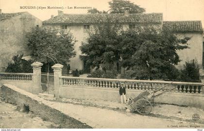 MOUGINS(ARBRE) MARRONNIER