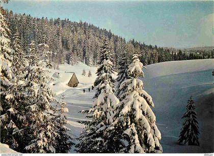 25 - Mouthe - Chez Liadet - Hiver - Neige - CPM - Voir Scans Recto-Verso