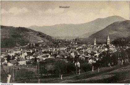 Munster