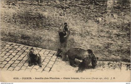 CPA PARIS (5e) Jardin des Plantes - Ours bruns (133579)