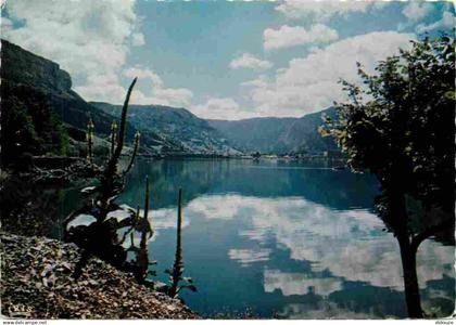 01 - Nantua - Le Lac de Nantua - Carte Dentelée - CPSM grand format - Voir Scans Recto-Verso