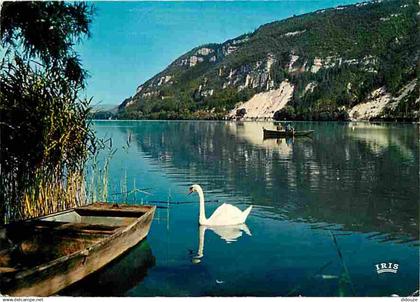 01 - Nantua - Le Lac de Nantua - Cygnes - CPM - Voir Scans Recto-Verso