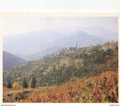 30 NOTRE DAME DE LA ROUVIERE MASSIF DE L AIGOUAL