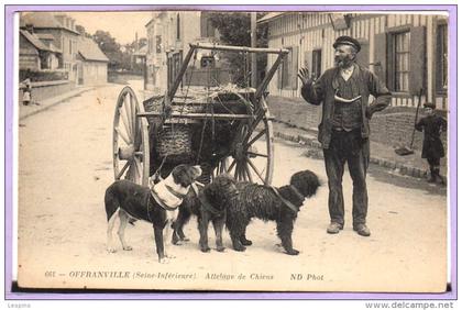 76 - OFFRANVILLE --  Attelage de CHIENS