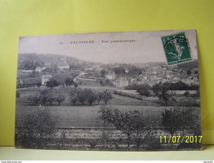 PALAISEAU (ESSONNE) VUE PANORAMIQUE