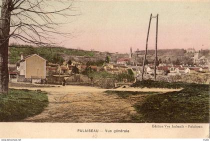 PALAISEAU VUE GENERALE (CARTE COLORISEE)