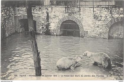 Inondations de Paris (Janvier 1910) - La fosse aux Ours du Jardin des Plantes