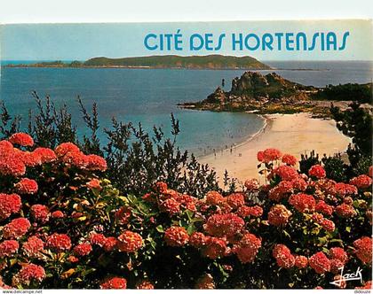 22 - Perros-Guirec - La plage de Trestrignel, la pointe du château et l'Ile Tomé - Fleurs - Flamme Postale de Perros-Gui