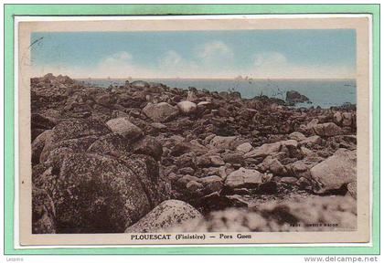 29 - PLOUESCAT --  Pors Guen