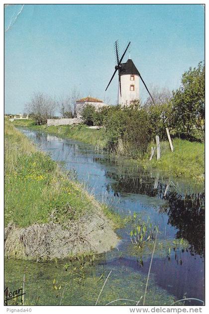 cp , RÉGIONS , POITOU-CHARENTES , Moulin dans les marais