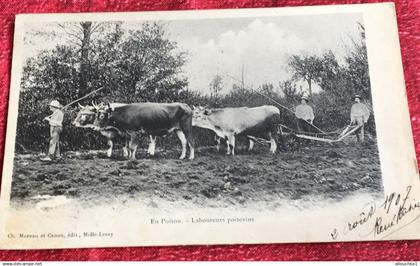 En Poitou Laboureurs poitevins Région Poitou-Charentes-Carte Postale-Gros plan Bœufs-TOP/CPA-animée-Ed. Moreau Canon