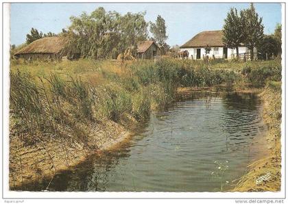 vendée :  bourrine  dans le  marais