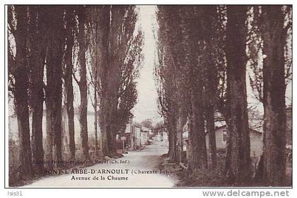 dép 17 - J166 - Pont l'Abbé d'Arnoult - Avenue de la Chaume - état