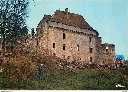 23 - Pontarion - Le Château - CPM - Voir Scans Recto-Verso