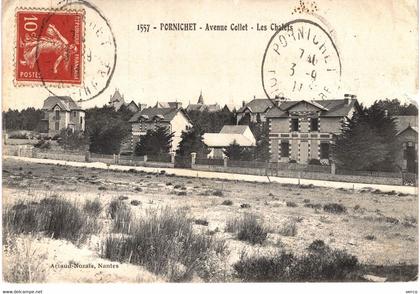 Carte POSTALE Ancienne  de  PORNICHET - Avenue Collet