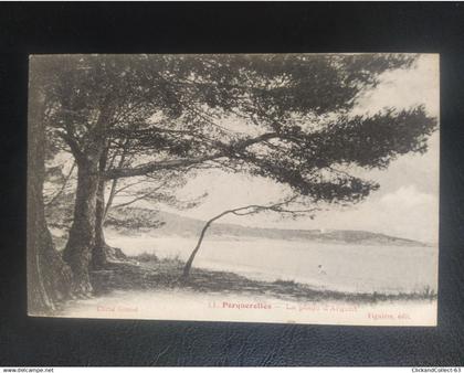 CPA carte postale île de Porquerolles la plage d'argent