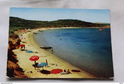 Cpm, Porquerolles, la plage du Langoustier, Var 83