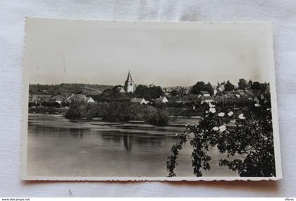 J417, Cpsm, Pouilly sur Loire, les bords de la Loire, Nièvre 58