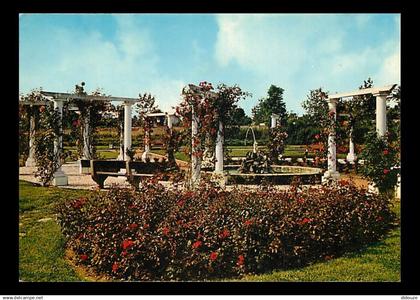 42 - Riorges - Parc de la Mairie - Fleurs - CPM - Voir Scans Recto-Verso