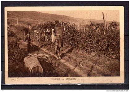 68 - Riquewihr - Vendanges - Vignes