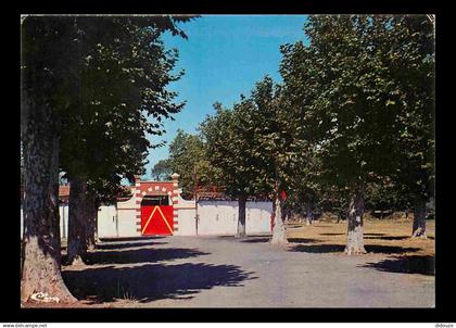 32 - Riscle - L'Avenue des Arènes - CPM - Voir Scans Recto-Verso