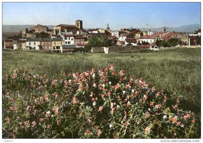 ROQUEBRUNE sur ARGENS 83 - Vue générale