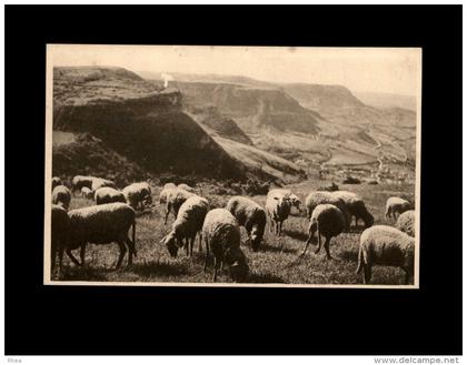 12 - ROQUEFORT - Très beau carnet Caves et Fromages de Roquefort Société