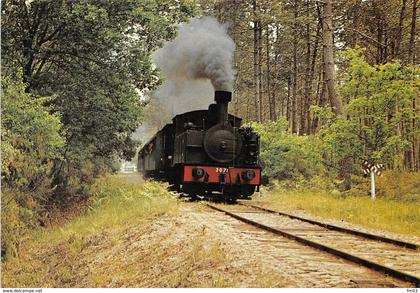 train touristique Sabres Marquèze