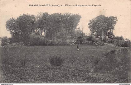 69 - RHONE - SAINT-ANDRE LA COTE - 10044 - bocquetau des Fayards - défaut