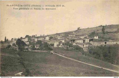 69 - Saint André la Côte - Vue générale et Route de Mornant - CPA - Oblitération ronde de 1925 - Voir Scans Recto-Verso