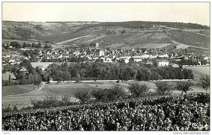 89 , SAINT BRIS LE VINEUX , Vue generale