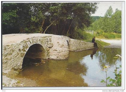 SAINT CYR SUR LOIRE - Pont romain de Mondoux