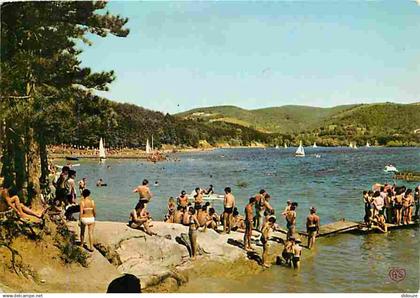 31 - Saint Ferreol - Bassin de Saint Ferreol - Echappée sur le Bassin - La Plage - CPM - Voir Scans Recto-Verso