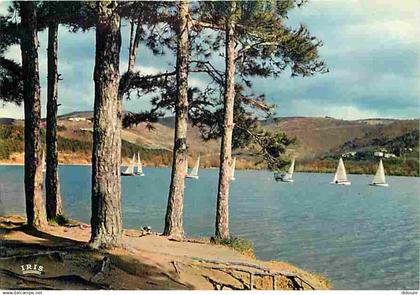 31 - Saint Ferreol - Bassin de Saint Ferreol - Régates sur le Lac - Voiles - Carte Neuve - CPM - Voir Scans Recto-Verso