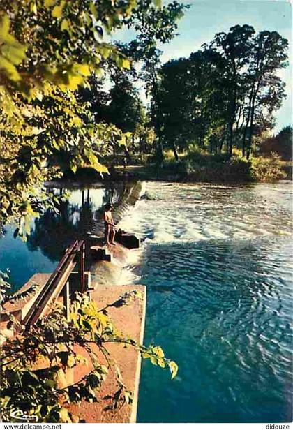 18 - Saint Florent sur Cher - Un coin de pêche sur les bords du Cher - Flamme Postale de Saint Florent sur Cher - CPM -