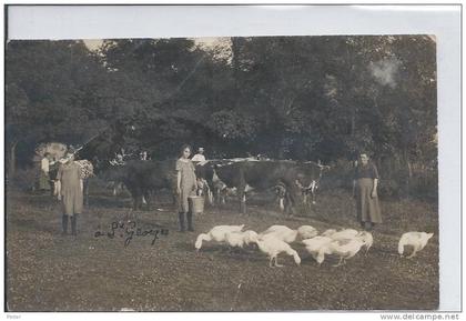 SAINT GEORGES SUR BAULCHE - Personnes avec des vaches - carte photo