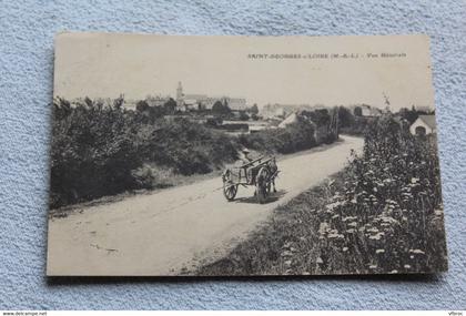 Saint Georges sur Loire, vue générale, Maine et Loire 49