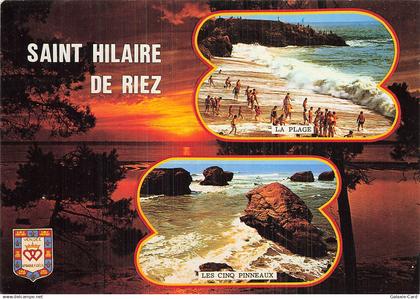 85 SAINT HILAIRE DE RIEZ SAINT HILAIRE DE RIEZ