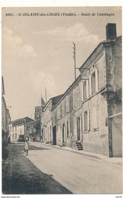 SAINT HILAIRE DES LOGES - Route de Coulonges