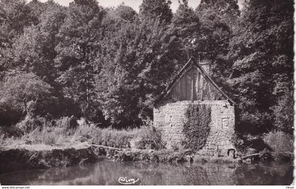 SAINT HILAIRE DU HARCOUET(MOULIN)