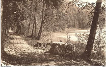 Carte Postale ancienne de SAINT HONORE les BAINS