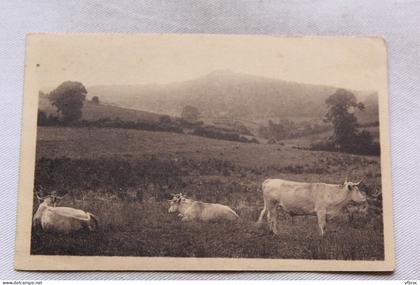 K997, Saint Honoré les Bains, pâturage à la vieille montagne, Nièvre 58