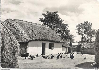 CPSM Saint-Jean-de-Monts Une Bourine