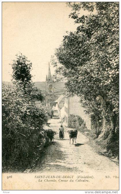 SAINT JEAN DU DOIGT(FINISTERE) VACHE